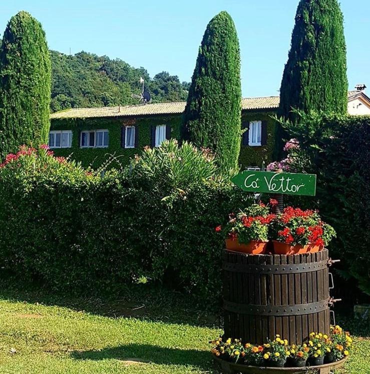 Ca Vettor Bed and Breakfast Affi Buitenkant foto