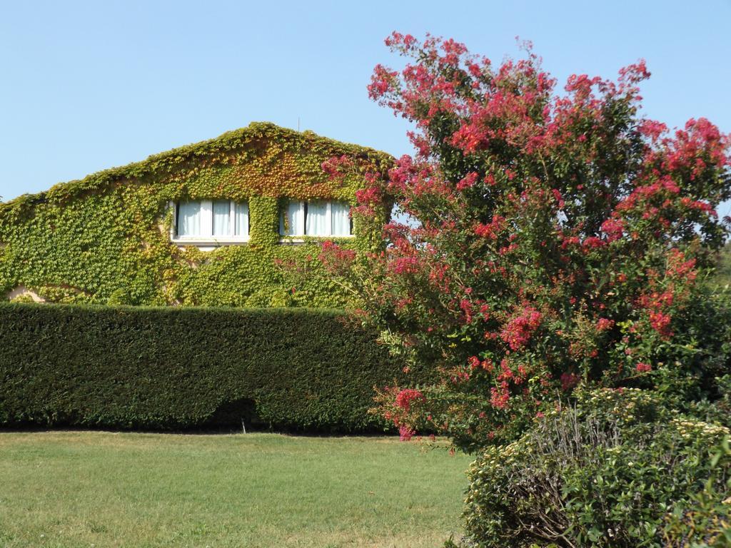 Ca Vettor Bed and Breakfast Affi Buitenkant foto